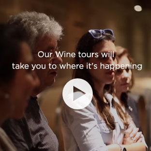 Our Wine tours will take you to where it's happening