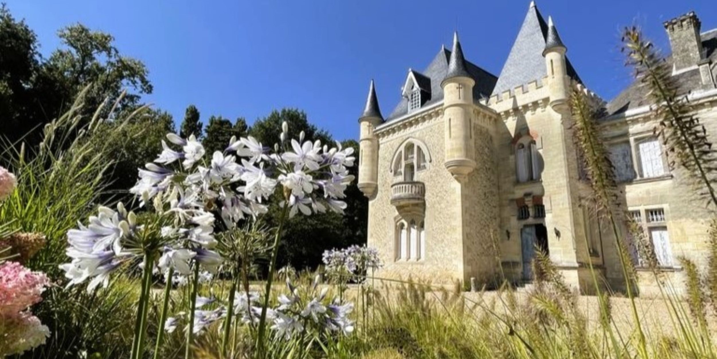 Vignoble d'un Grand Cru Classé Bordeaux