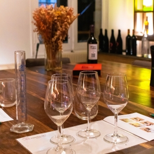 Visite et dégustation des vins de bordeaux