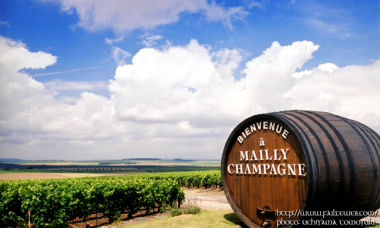 Mailly-Champagne