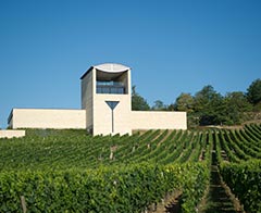 Château de Faugères, Saint-Emilion, Bordeaux