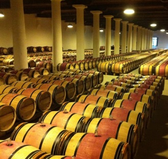 Visit to the Medoc winery