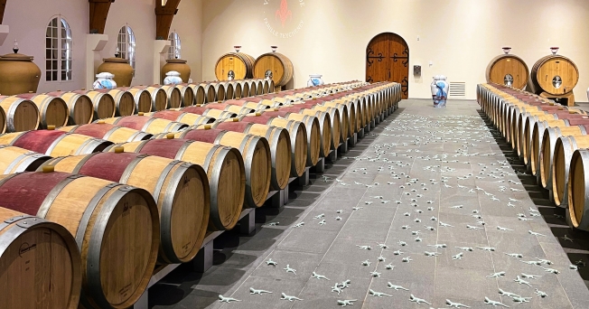 Wine trail by electric bike