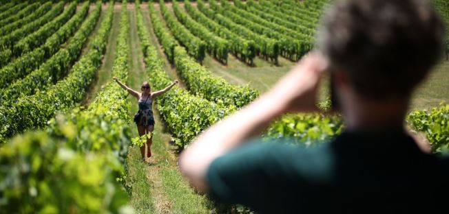 Bordeaux wine tour Medoc
