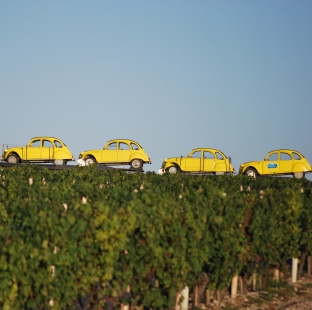 2CV ride in the Bordeaux vineyards