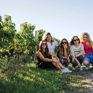 wine tour Saint-Emilion