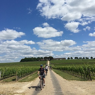 Private guided electric bike tour Saint-Émilion France