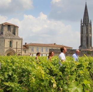 Bordeaux wine trail afternoon