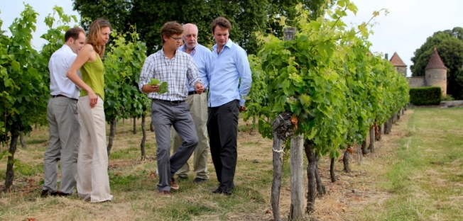 Visit classified vineyard Bordeaux 