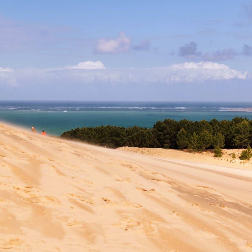 Morning wine tours to Arcachon bay