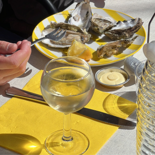 Morning wine tours to Arcachon bay