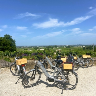 Tour guided electric bike Bordeaux