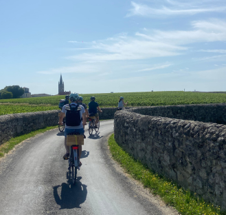 bordeaux tour vino