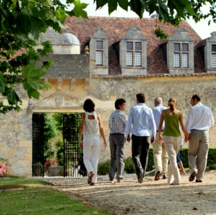 Guided tour of the wine trail