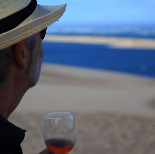 beaches and vineyards wine tours