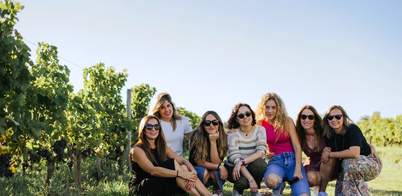 walk in the vineyards wine tours