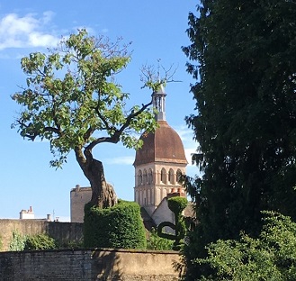 Tasting in Burgundy vineyards 