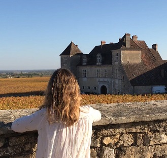 Visit to the vineyards of the Côte de Beaune