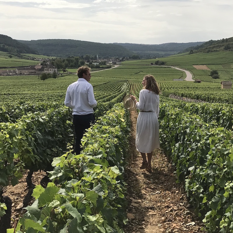 discovery of the vineyards of the Côte de Nuits