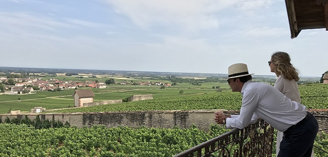 The best of Burgundy in the Dijon region