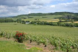 Vallée de la Marne (Marne valley)