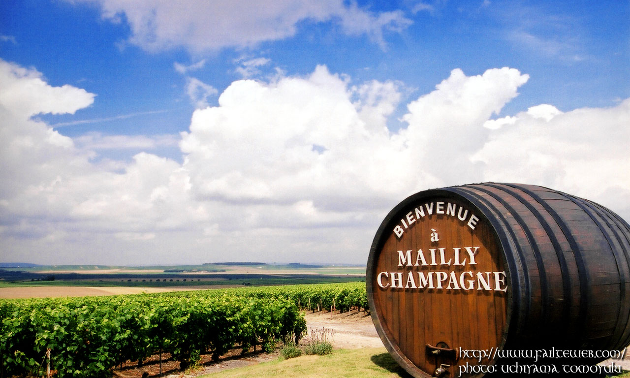 Mailly Champagne