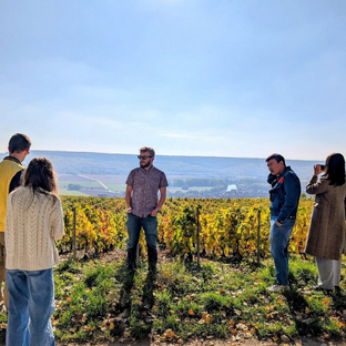 champagne oenology discovery morning