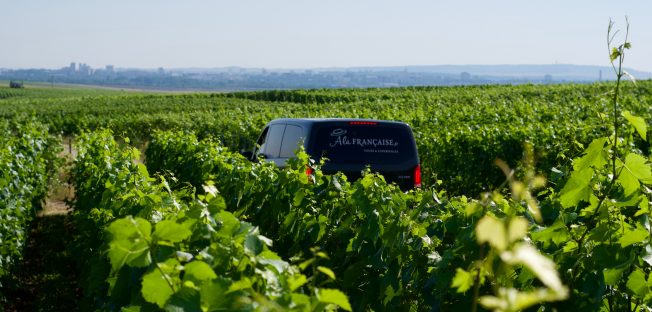 visit to the heart of the French vineyard