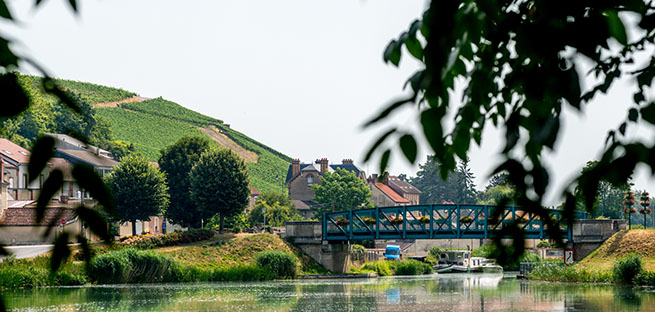 champagne region tour