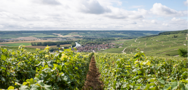 Private electric bike tour in Champagne France