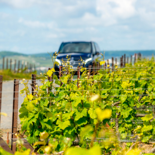 Champagne wine tour day