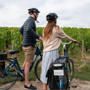 Self ride e-bike tour to Hautvillers with lunch & tastings