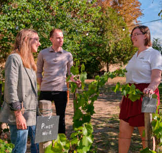 Guided tour of a typical Champagne house