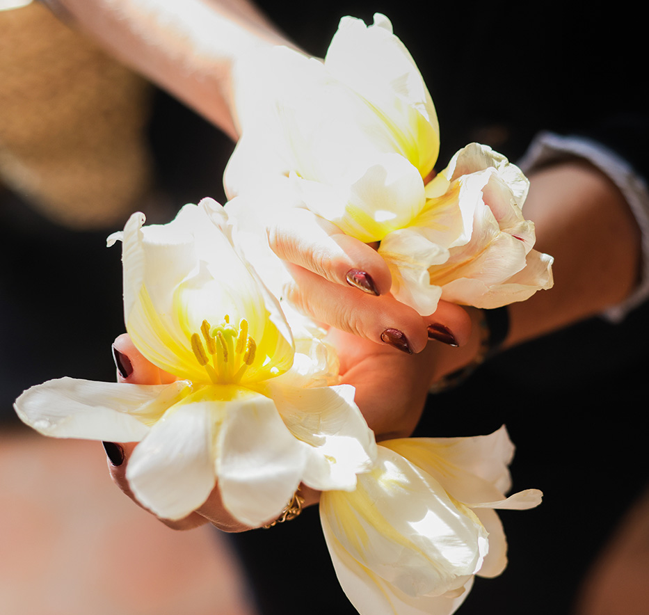 Grasse, the world-renowned perfume capital