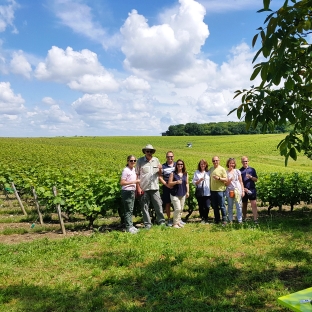 Discovery of the vineyards rich in tradition and passion