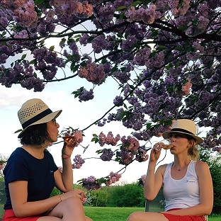 tours in the loire valley tours in the loire valley