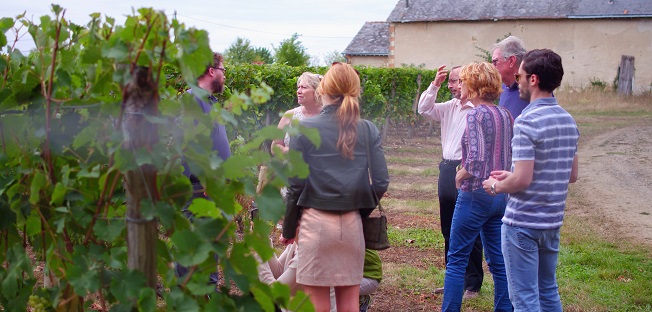 Discover the secrets of wine making
