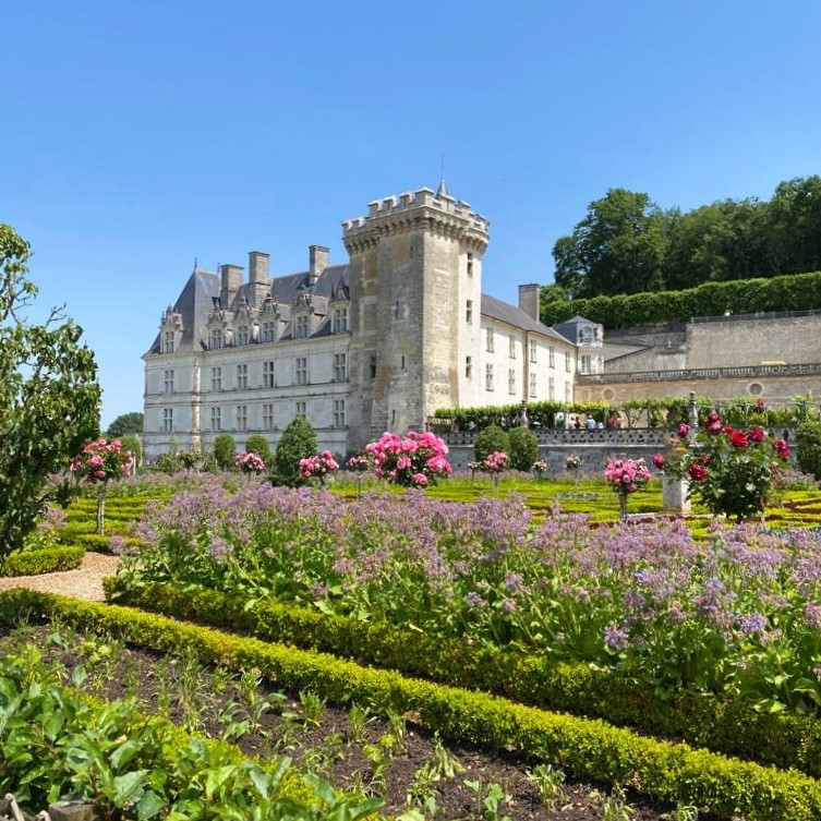 Visit to the Château de Villandry and its gardens