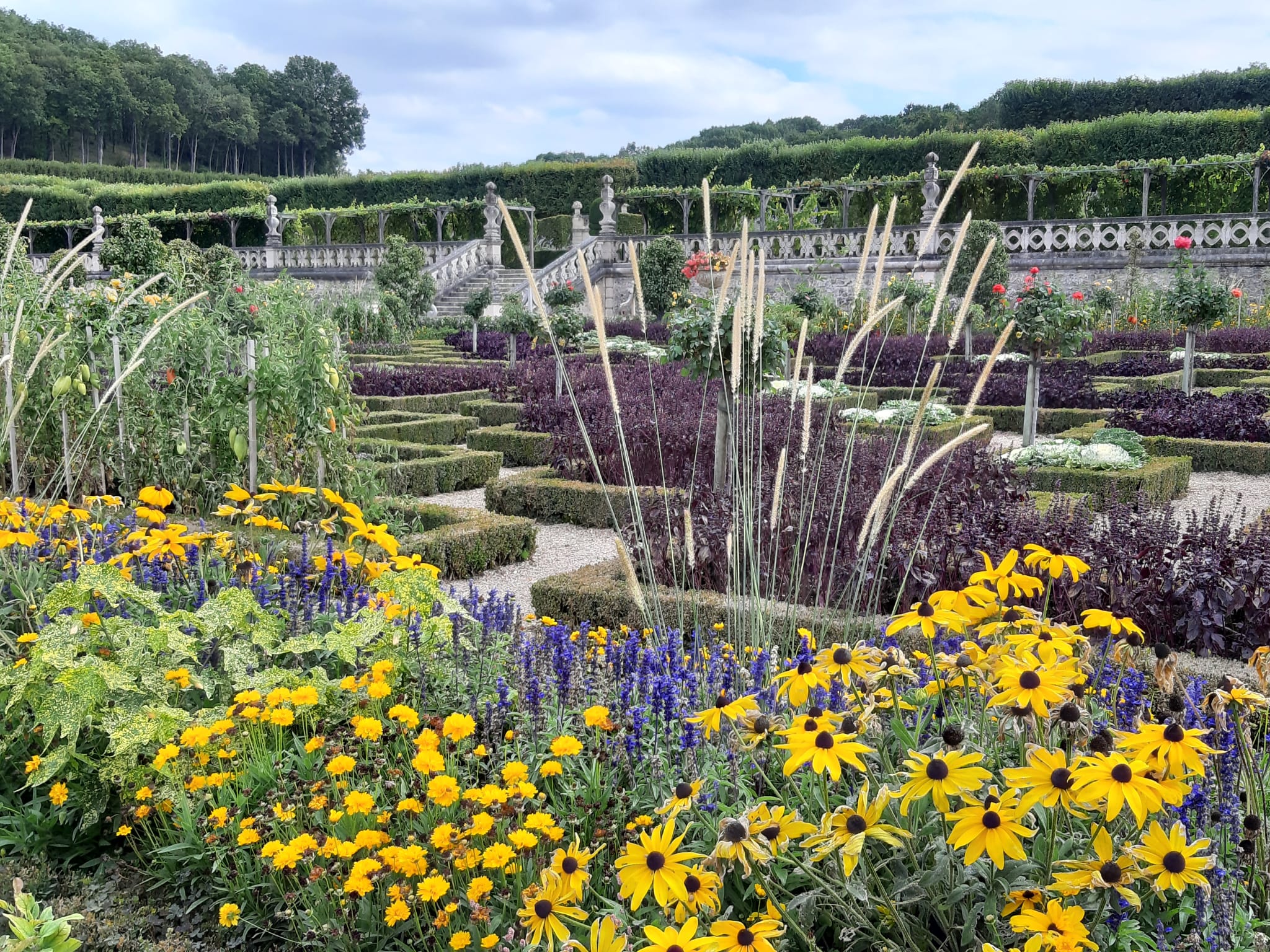 Visit to the Château de Villandry and its gardens