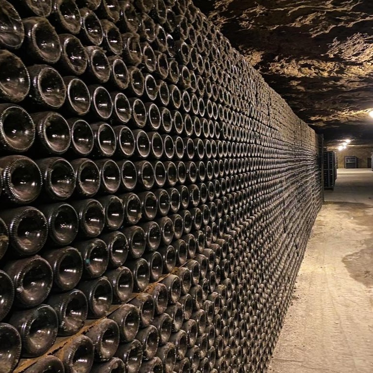 Meeting with the winegrowers of the Loire Valley