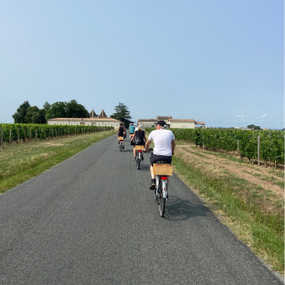 Explore the Valley of the Kings by bike