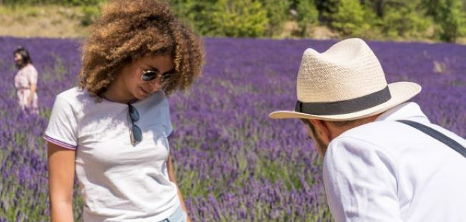 lavender fields in Provence