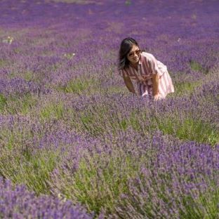 Lavender Tour Day in Valensole
