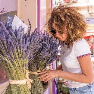 Lavender day tour in Sault