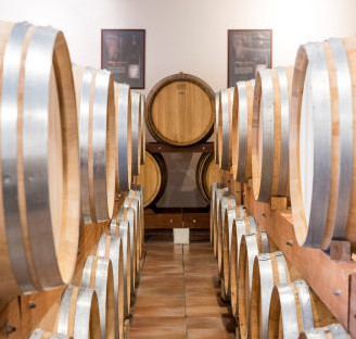 Visit to a cellar of an estate located in the heart of the region 