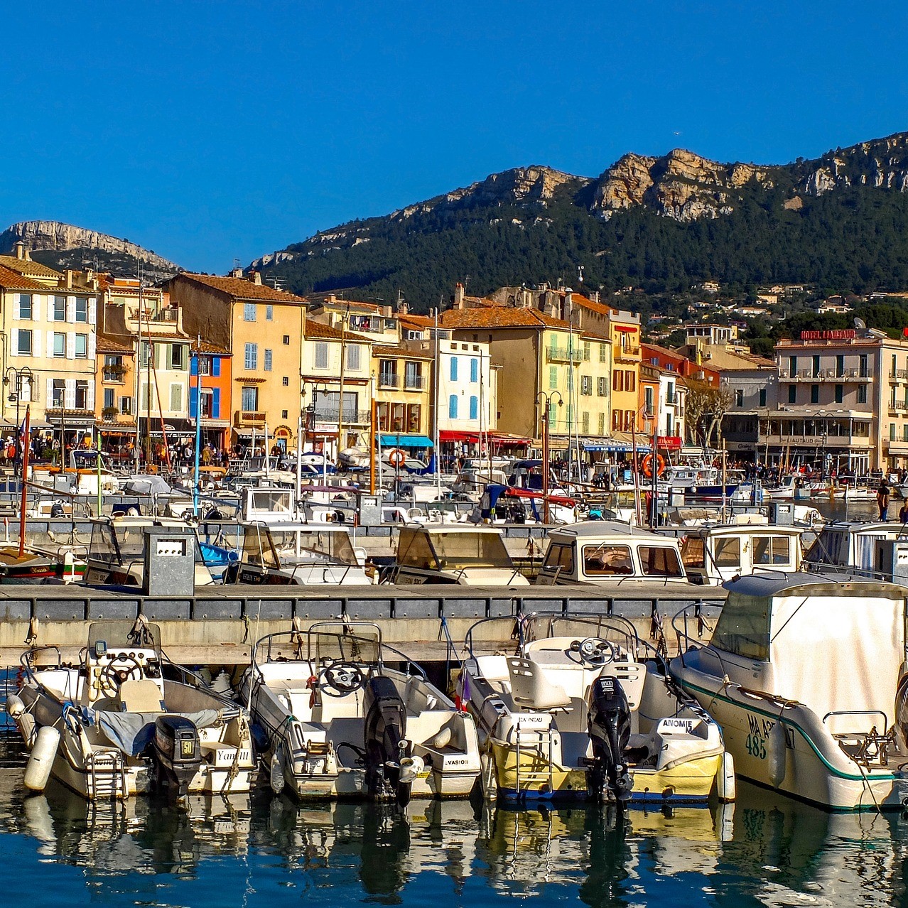 Visit to the local market in Cassis