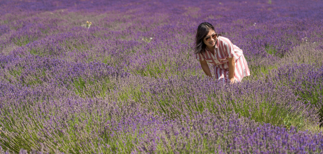 The best of Provence in one morning 