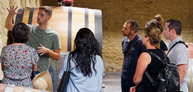 Discovery of the Phocaean city