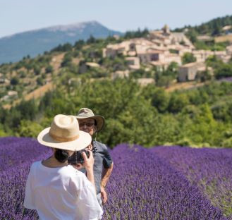 Meet a lavender grower in Provence