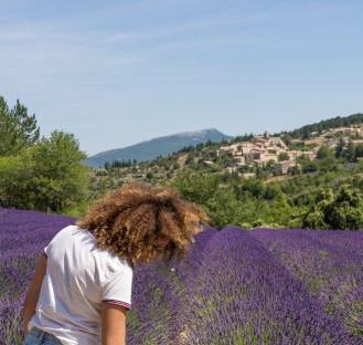 A walk in the lavender fields